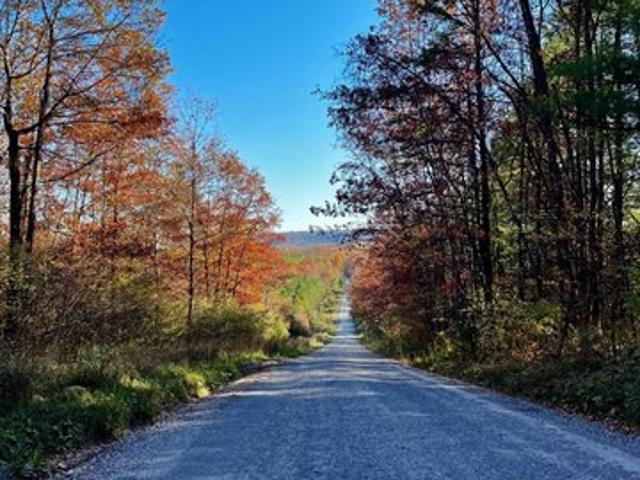Land for sale in Beech Creek, Pennsylvania