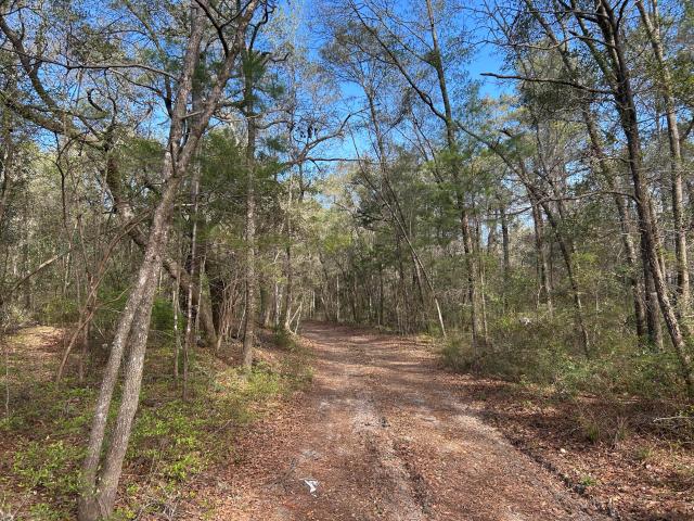 Land for sale in Ridgeville, South Carolina