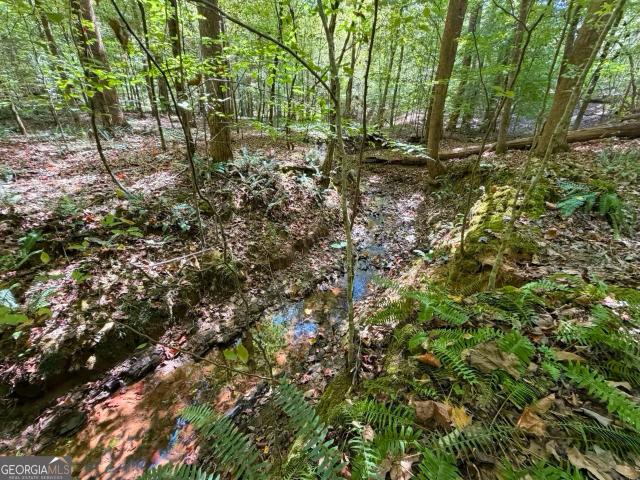 Land for sale in Tignall, Wilkes County