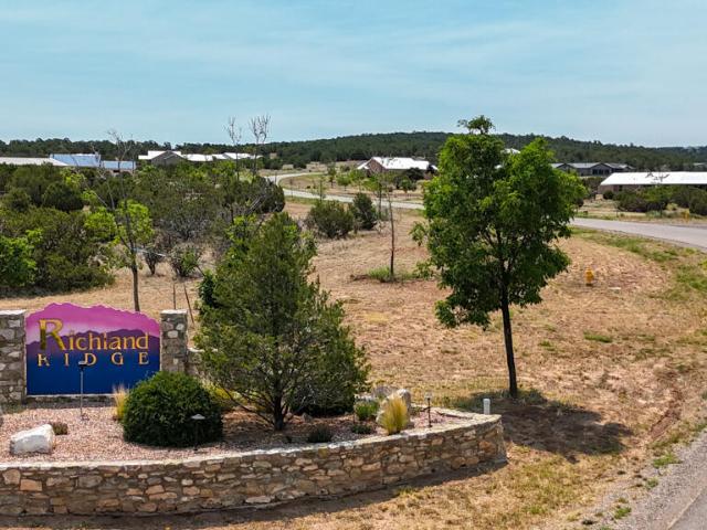 Land for sale in Placitas, New Mexico