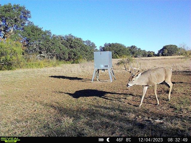 Land for sale in Mills, Texas