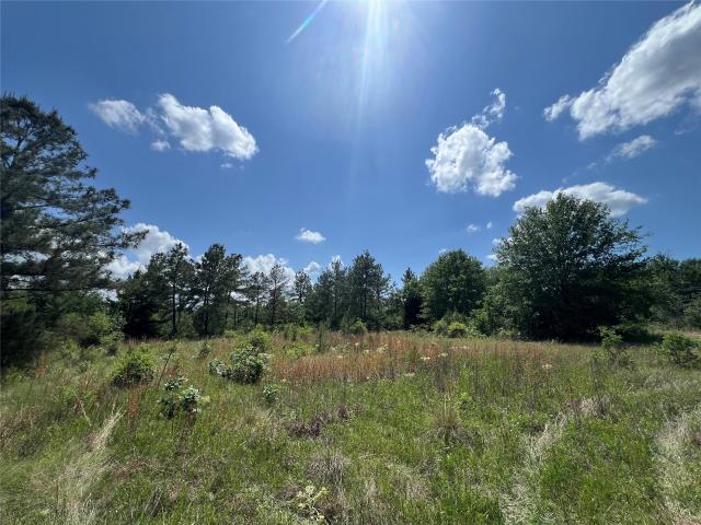 Property for sale in Grimes, Texas
