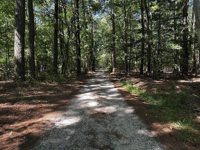 Land for sale in Accomac, Accomack County