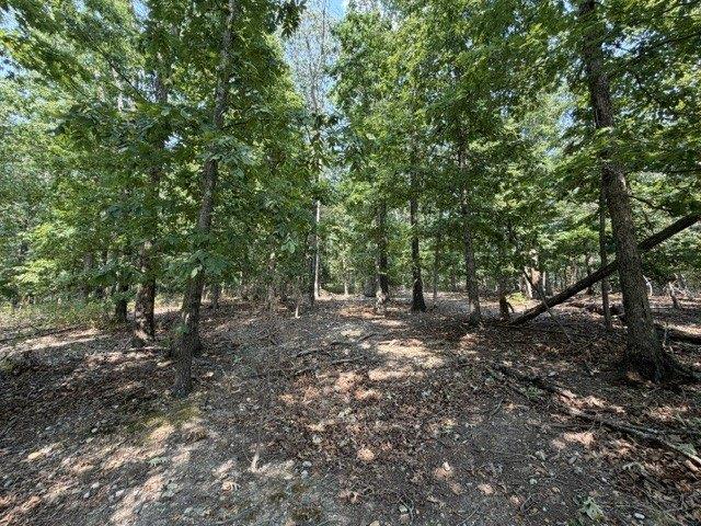 Land for sale in Ark