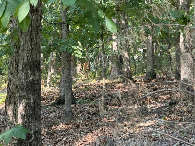 Land for sale in Ark
