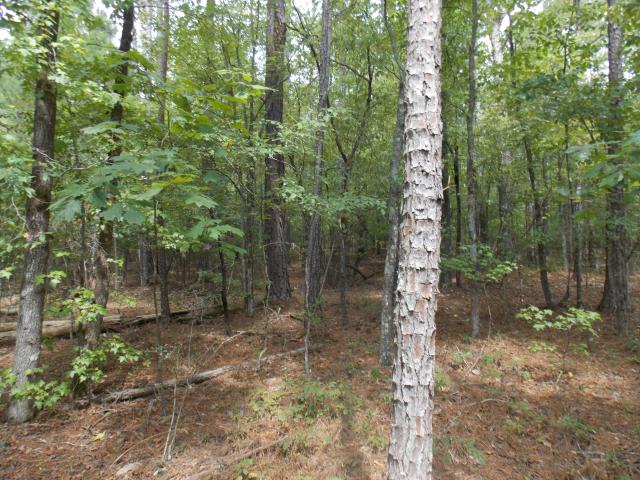 Land for sale in Tignall, Georgia