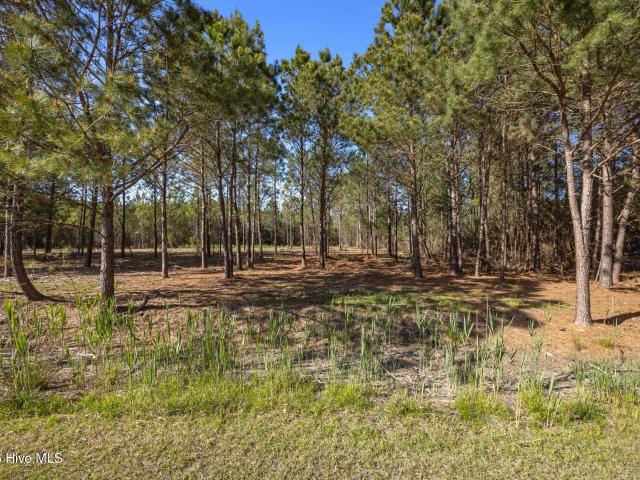 Land for sale in Vandemere, North Carolina