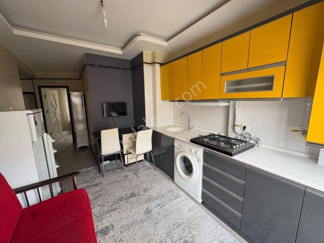 Tokat Merkez, Tokat içerisinde kiralık mülk