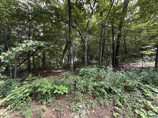 Land for sale in Wintergreen, Nelson County