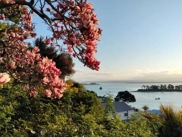 House for sale in Cable Bay, Nelson Bays