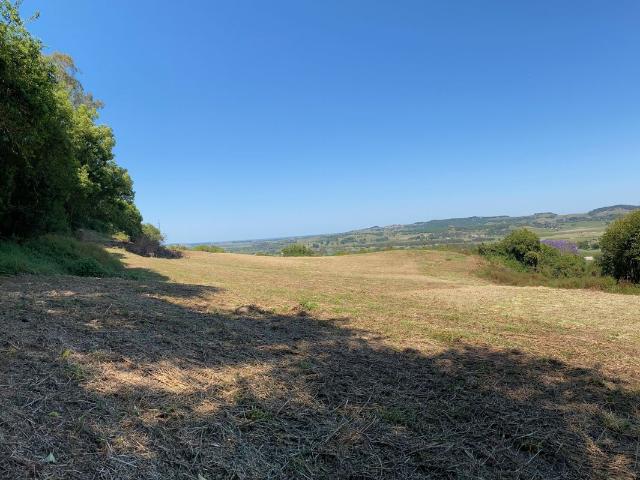 Land for sale in East Lismore, New South Wales