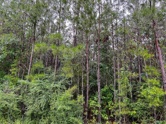 Property for sale in Polk, Texas