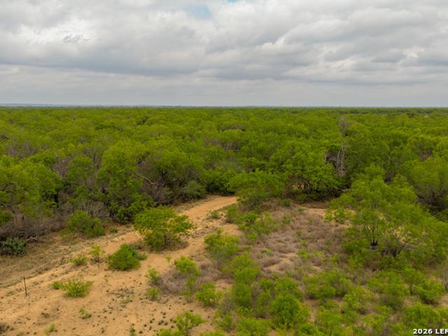 Land for sale in Pearsall, Texas