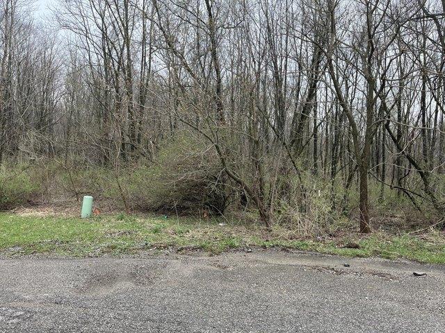 Land for sale in Cassopolis, Michigan