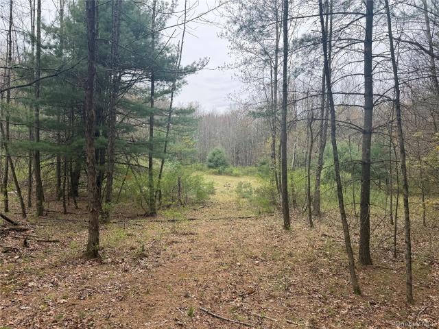 Land for sale in Catskill, New York