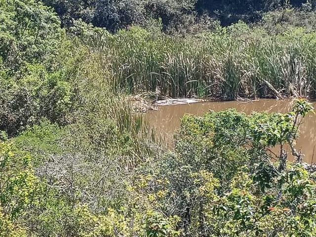 Land for sale in Bushmans River Mouth, Eastern Cape
