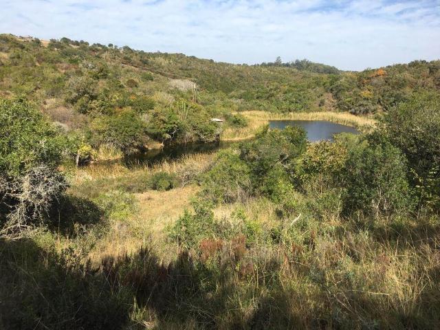 Land for sale in Bushmans River Mouth, Eastern Cape