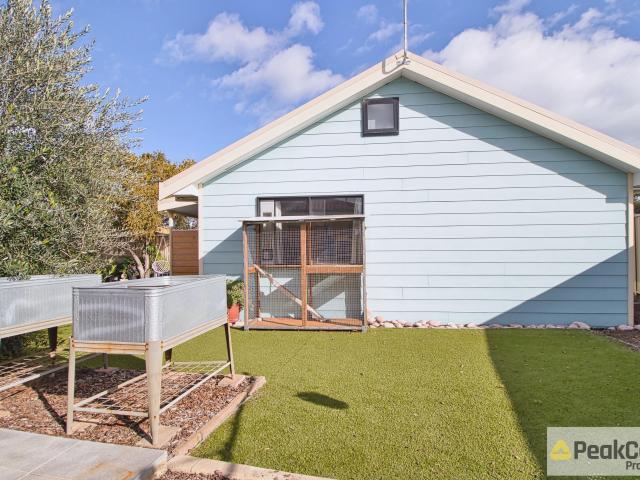 House for rent in Cooloongup, Western Australia
