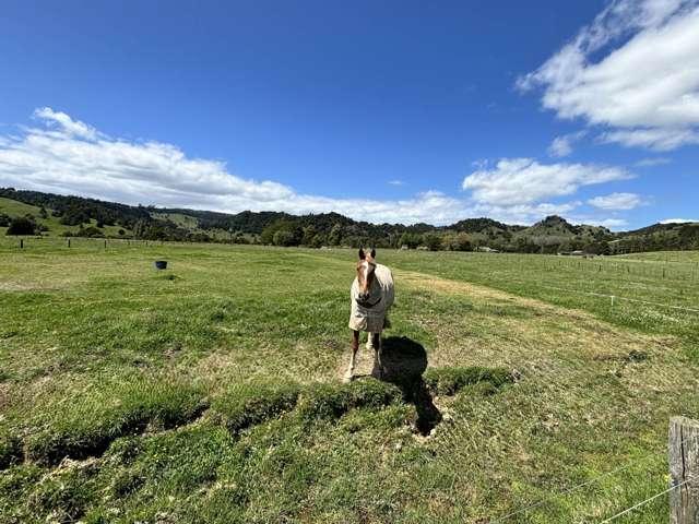 Land for sale in Ohaeawai, Northland