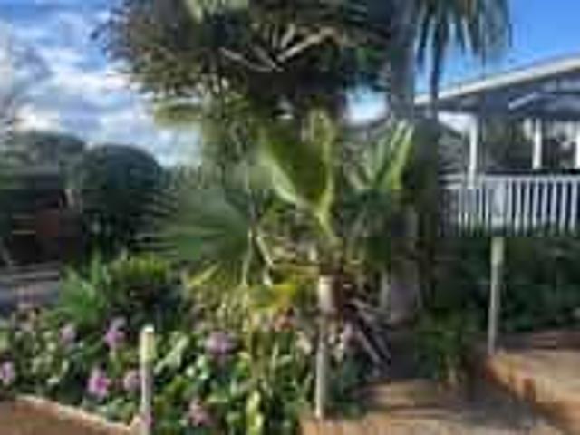 House for rent in Whangaparaoa, Oroua County