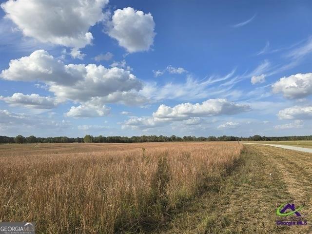 Land for sale in Cochran, Georgia