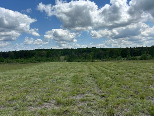 Land for sale in Tennessee