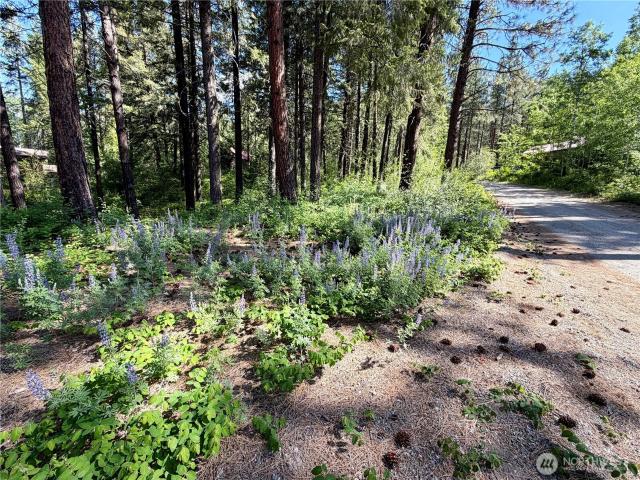 Land for sale in Winthrop, Washington