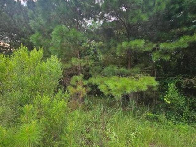 Land for sale in Jasper, Alabama