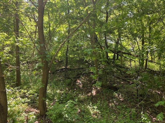 Land for sale in Fox Lake, Illinois