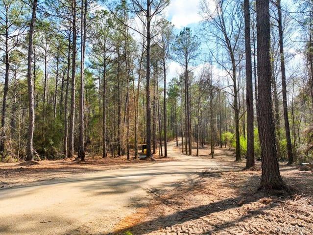 Land for sale in Auburn, Alabama
