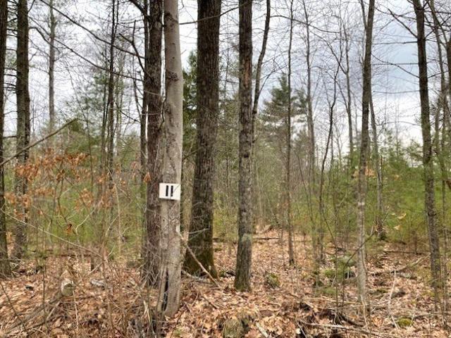 Land for sale in Petersham, Massachusetts