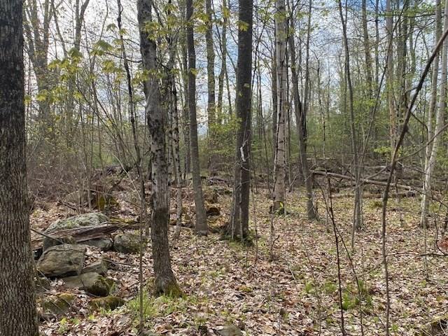 Land for sale in Petersham, Massachusetts