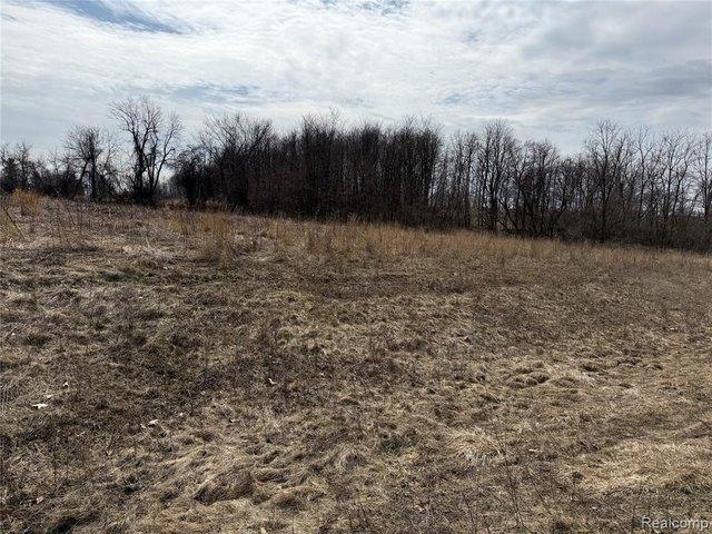 Land for sale in Dryden, Michigan