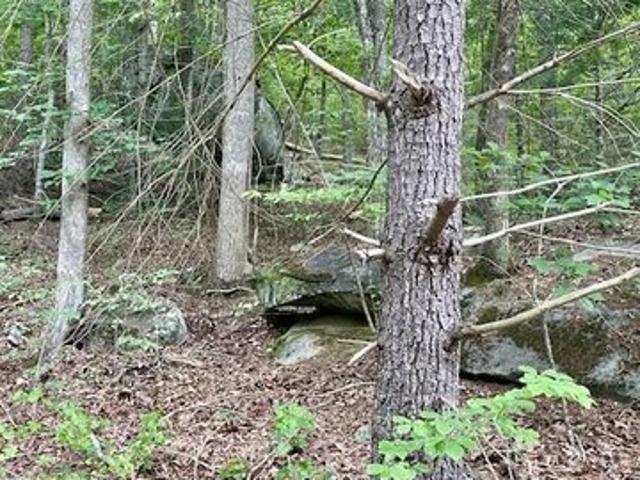Land for sale in Murphy, North Carolina