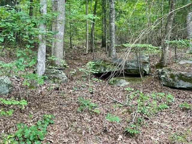 Land for sale in Bear Paw, Murphy