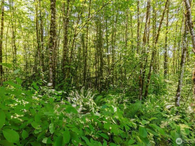 Land for sale in Poulsbo, Washington
