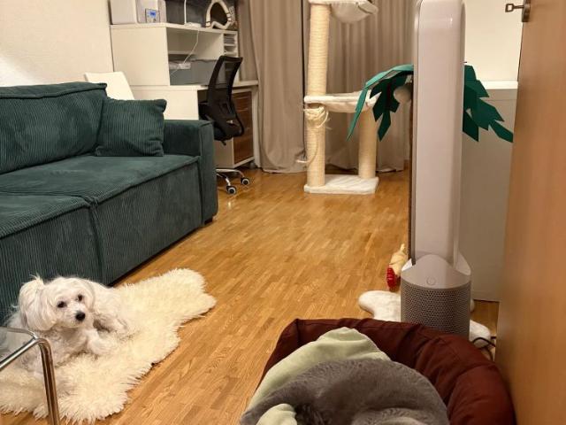 Studio mieten in Lausanne, District de Lausanne