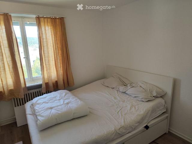Studio mieten in Halde, Spreitenbach