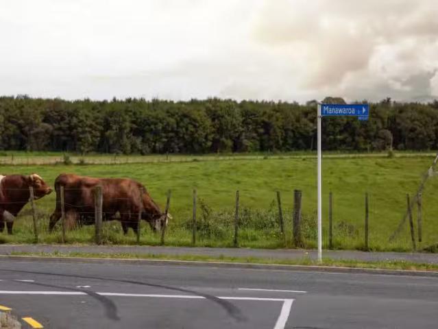 House for sale in Hamilton, Waikato