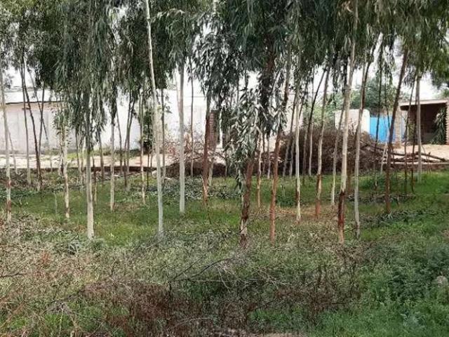 Land for sale in Khushab, Islamabad Capital Territory