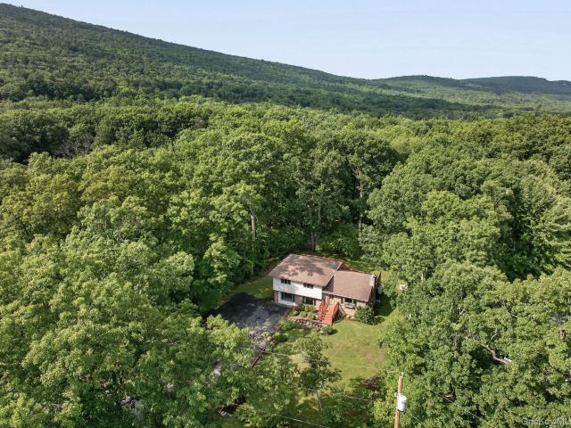 House for sale in Olive, New York