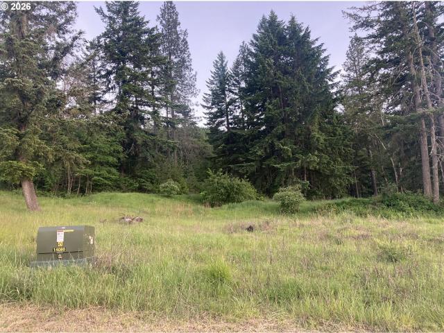 Land for sale in White Salmon, Washington