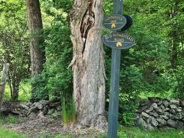 Land for sale in Kent, Connecticut