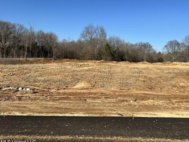 Land for sale in Byhalia, Mississippi