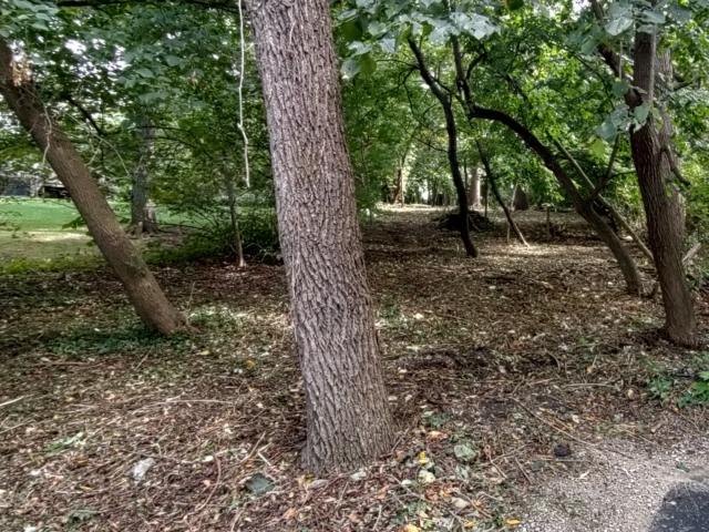 Land for sale in Elgin, Illinois