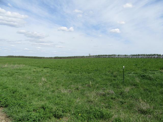 Land for sale in Garvin, Minnesota