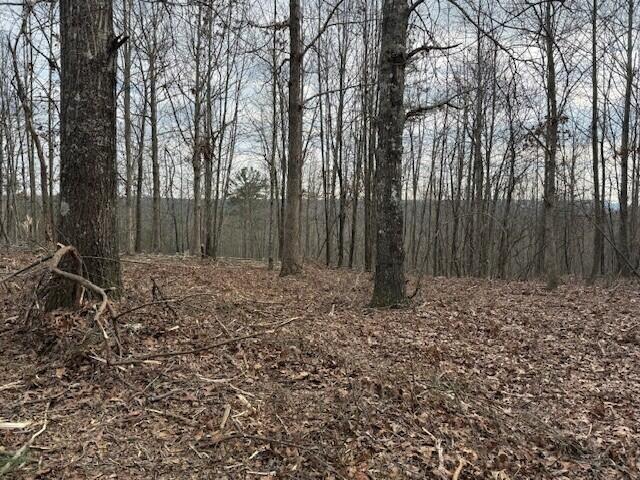Land for sale in Tennessee