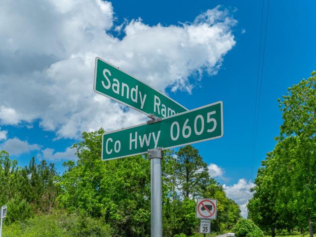 Land for sale in Walton, Florida