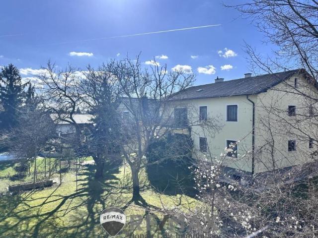 Haus kaufen in Wiener Neudorf, Niederösterreich