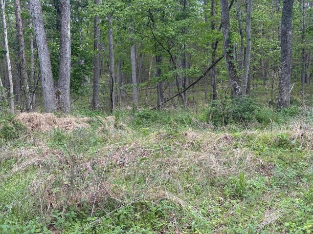 Land for sale in Capon Bridge, West Virginia